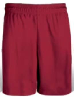 Shorts5